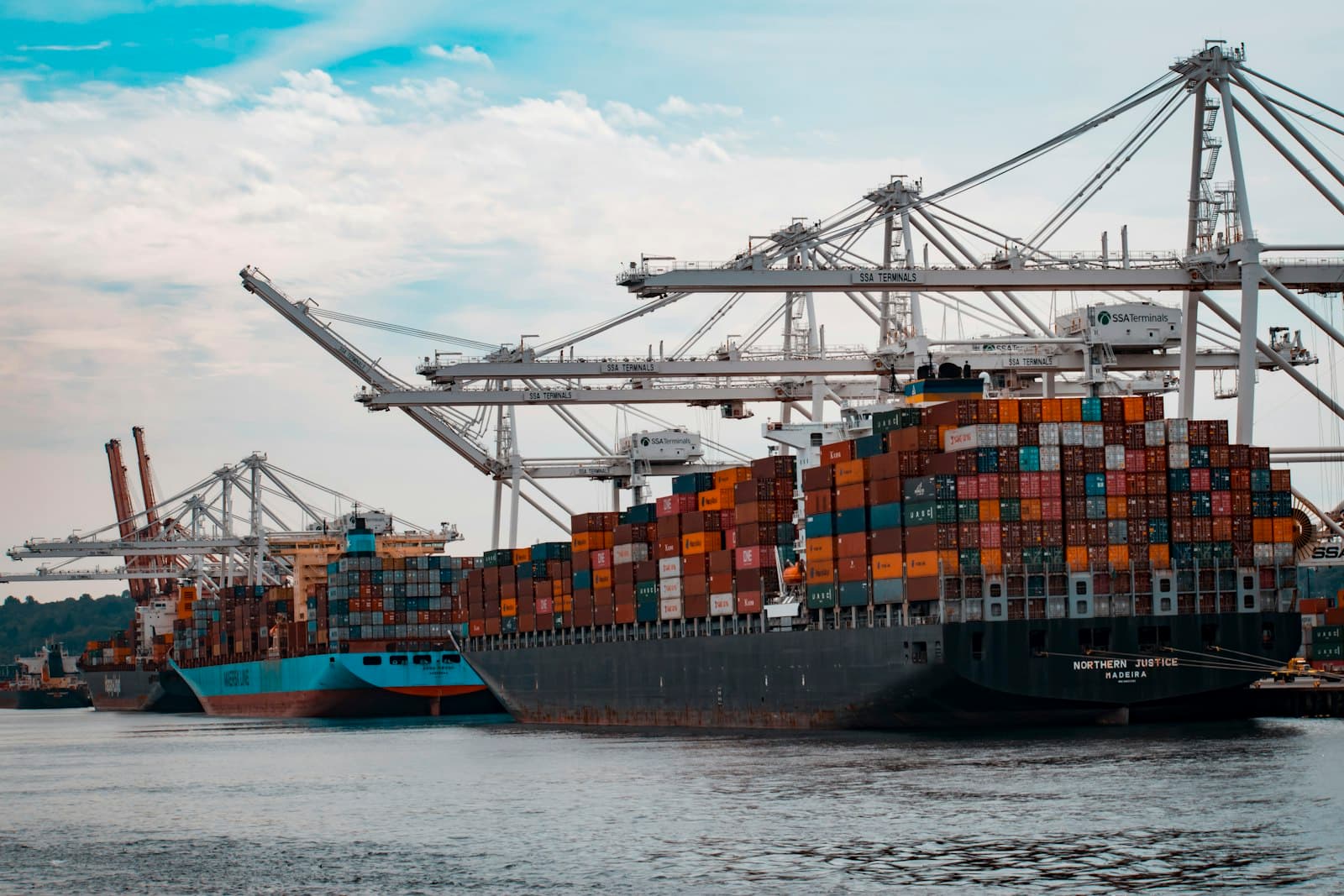Container cranes loading freight at a port
